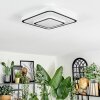 Borin Plafoniera LED Grigio, Bianco, 1-Luce