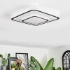 Borin Plafoniera LED Grigio, Bianco, 1-Luce
