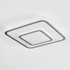 Borin Plafoniera LED Grigio, Bianco, 1-Luce