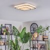 Borin Plafoniera LED Grigio, Bianco, 1-Luce