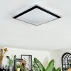 Castasegna Plafoniera, Panel LED Nero, Bianco, 1-Luce