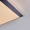 Castasegna Plafoniera, Panel LED Nero, Bianco, 1-Luce