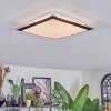 Castasegna Plafoniera, Panel LED Nero, Bianco, 1-Luce