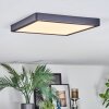 Finsrud Plafoniera, Panel LED Nero, 1-Luce