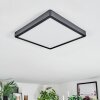 Finsrud Plafoniera, Panel LED Nero, 1-Luce