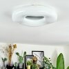 Zuril Plafoniera LED Bianco, 1-Luce, Telecomando