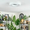 Zuril Plafoniera LED Bianco, 1-Luce, Telecomando