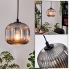 Trion Lampadario a sospensione, Lampada a sospensione Nero, 1-Luce