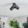 Daril Plafoniera, Faretto da soffitto Nero, 2-Luci