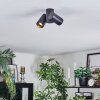 Daril Plafoniera, Faretto da soffitto Nero, 2-Luci