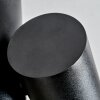 Daril Plafoniera, Faretto da soffitto Nero, 2-Luci