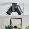 Daril Plafoniera, Faretto da soffitto Nero, 2-Luci