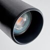 Daril Plafoniera, Faretto da soffitto Nero, 2-Luci