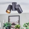 Daril Plafoniera, Faretto da soffitto Nero, 2-Luci