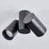 Daril Plafoniera, Faretto da soffitto Nero, 2-Luci