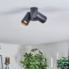 Daril Plafoniera, Faretto da soffitto Nero, 2-Luci