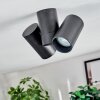 Daril Plafoniera, Faretto da soffitto Nero, 2-Luci