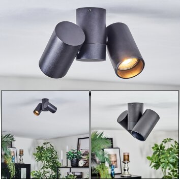 Daril Plafoniera, Faretto da soffitto Nero, 2-Luci