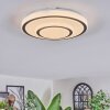 Borin Plafoniera LED Grigio, Bianco, 1-Luce