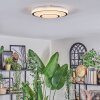 Borin Plafoniera LED Grigio, Bianco, 1-Luce