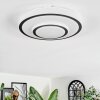 Borin Plafoniera LED Grigio, Bianco, 1-Luce