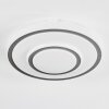 Borin Plafoniera LED Grigio, Bianco, 1-Luce