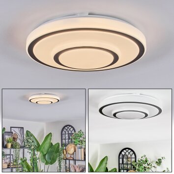 Borin Plafoniera LED Grigio, Bianco, 1-Luce