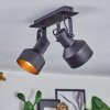 Tylar Plafoniera, Faretto da soffitto Nero, 2-Luci
