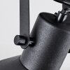 Tylar Plafoniera, Faretto da soffitto Nero, 2-Luci