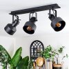 Tylar Plafoniera, Faretto da soffitto Nero, 3-Luci
