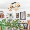 Koyoto Plafoniera, Lampada a sfera Oro, Nero, 8-Luci