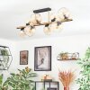 Koyoto Plafoniera, Lampada a sfera Oro, Nero, 8-Luci