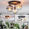 Gastor Plafoniera, Lampada a sfera Ambrato, Chiaro, Grigio fumo, 3-Luci