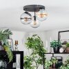 Gastor Plafoniera, Lampada a sfera Ambrato, Chiaro, Grigio fumo, 3-Luci