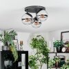 Gastor Plafoniera, Lampada a sfera Cromo, Chiaro, Grigio fumo, 3-Luci