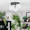 Gastor Plafoniera, Lampada a sfera Bianco, 3-Luci Gastor Plafoniera, Lampada a sfera Bianco, 3-Luci
