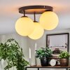 Gastor Plafoniera, Lampada a sfera Bianco, 3-Luci Gastor Plafoniera, Lampada a sfera Bianco, 3-Luci