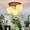 Gastor Plafoniera, Lampada a sfera Bianco, 3-Luci Gastor Plafoniera, Lampada a sfera Bianco, 3-Luci