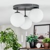 Gastor Plafoniera, Lampada a sfera Bianco, 3-Luci Gastor Plafoniera, Lampada a sfera Bianco, 3-Luci