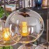 Apedo Lampadario a sospensione, Lampada a sfera, Lampada a sospensione Ambrato, Chiaro, Grigio fumo, 6-Luci