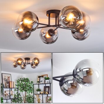 Gastor Plafoniera, Lampada a sfera Chiaro, Grigio fumo, 6-Luci