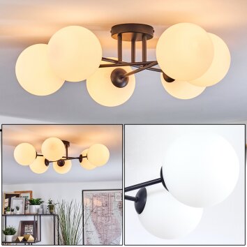 Gastor Plafoniera, Lampada a sfera Bianco, 6-Luci