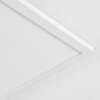 Zuren Plafoniera, Panel LED Bianco, 1-Luce, Cambia colore