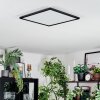 Zuren Plafoniera, Panel LED Nero, 1-Luce, Cambia colore