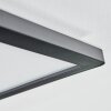 Zuren Plafoniera, Panel LED Nero, 1-Luce, Cambia colore