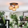 Koyoto Plafoniera, Lampada a sfera Ambrato, 3-Luci