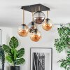 Gastor Plafoniera, Lampada a sfera Oro, Nero, 5-Luci