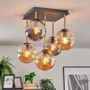 Gastor Plafoniera, Lampada a sfera Oro, Nero, 5-Luci