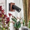 Dalan Applique, Faretto da parete LED Écru, Nero, 1-Luce