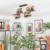 Koyoto Plafoniera, Lampada a sfera Oro, Nero, 8-Luci